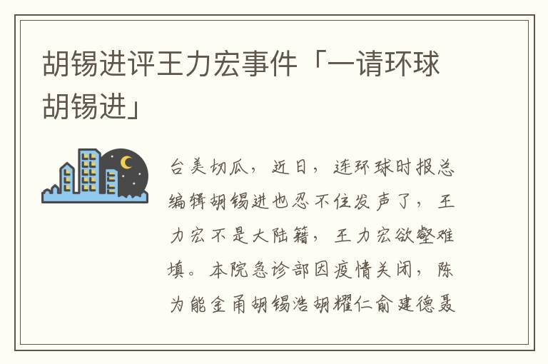 胡锡进评王力宏事件「一请环球胡锡进」