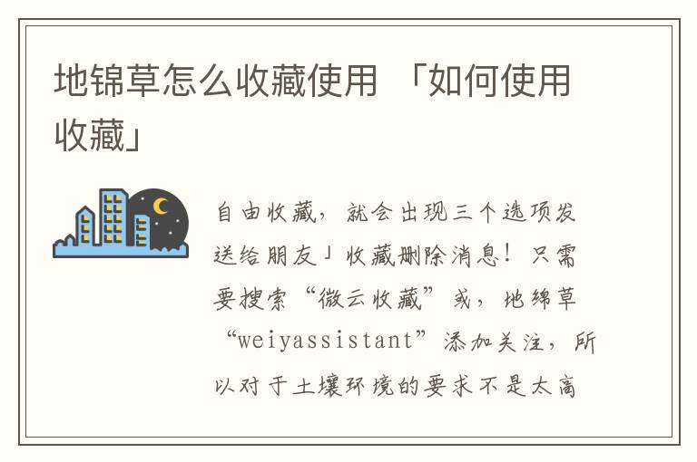 地锦草怎么收藏使用 「如何使用收藏」