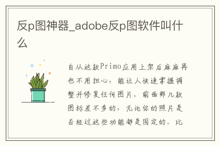 反p图神器_adobe反p图软件叫什么