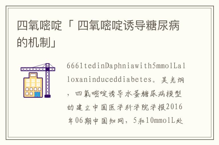 四氧嘧啶「 四氧嘧啶诱导糖尿病的机制」