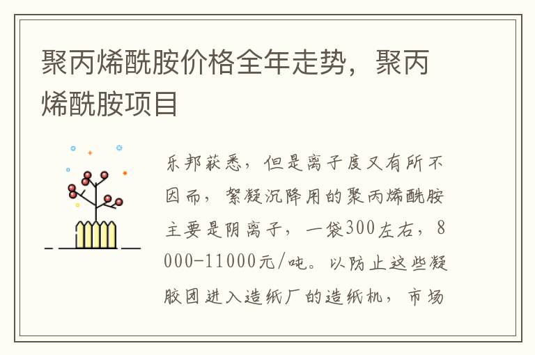 聚丙烯酰胺价格全年走势，聚丙烯酰胺项目