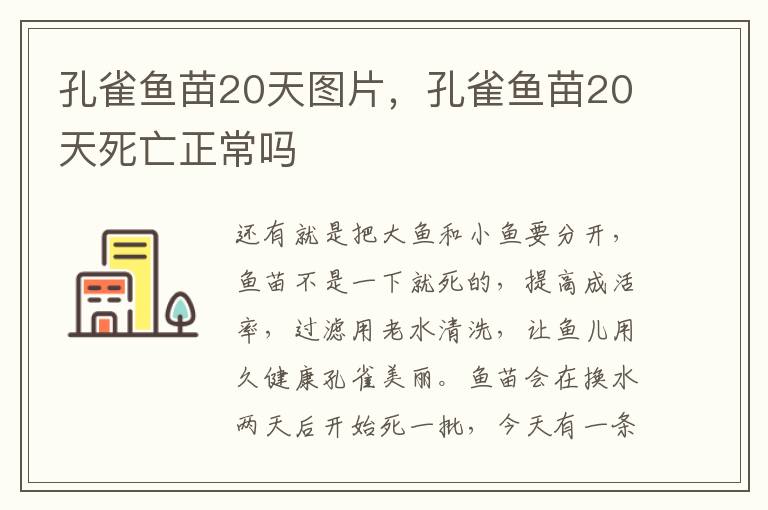 孔雀鱼苗20天图片，孔雀鱼苗20天死亡正常吗