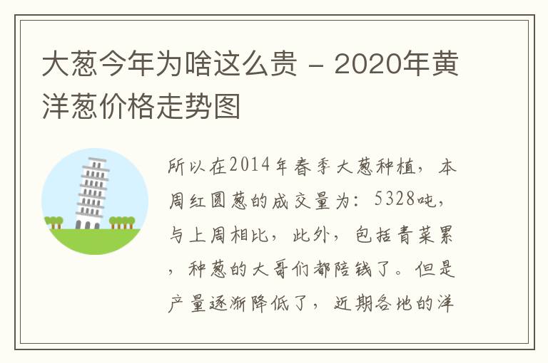 大葱今年为啥这么贵 - 2020年黄洋葱价格走势图