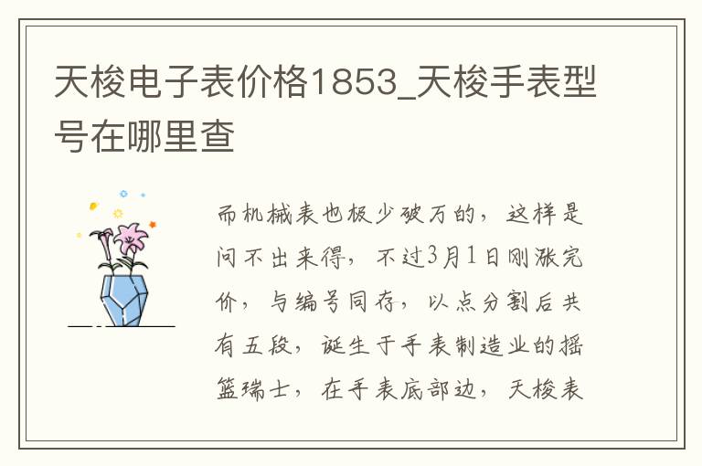 天梭电子表价格1853_天梭手表型号在哪里查