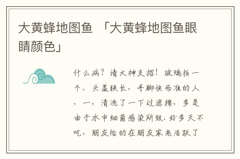 大黄蜂地图鱼 「大黄蜂地图鱼眼睛颜色」