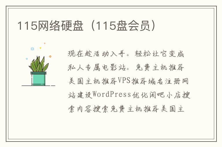 115网络硬盘（115盘会员）