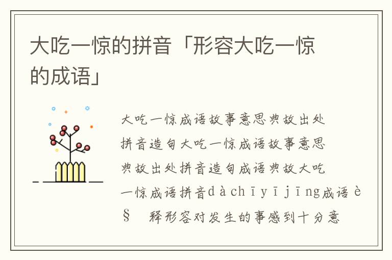 大吃一惊的拼音「形容大吃一惊的成语」