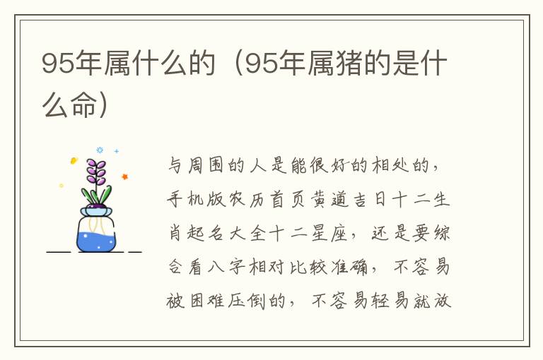 95年属什么的（95年属猪的是什么命）