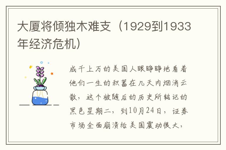 大厦将倾独木难支（1929到1933年经济危机）