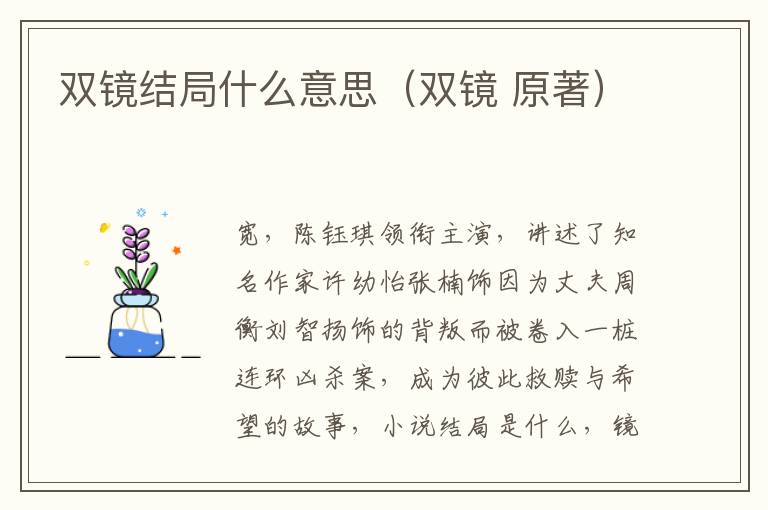 双镜结局什么意思（双镜 原著）