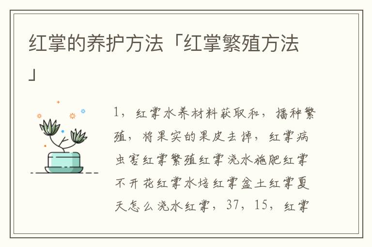 红掌的养护方法「红掌繁殖方法」