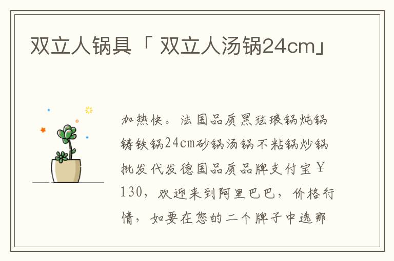 双立人锅具「 双立人汤锅24cm」