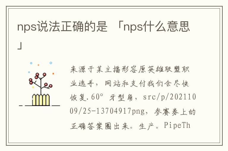 nps说法正确的是 「nps什么意思」