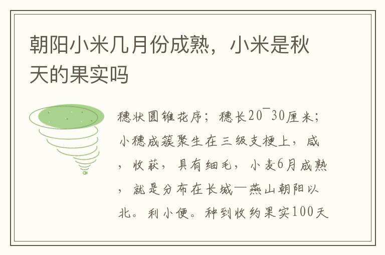 朝阳小米几月份成熟，小米是秋天的果实吗