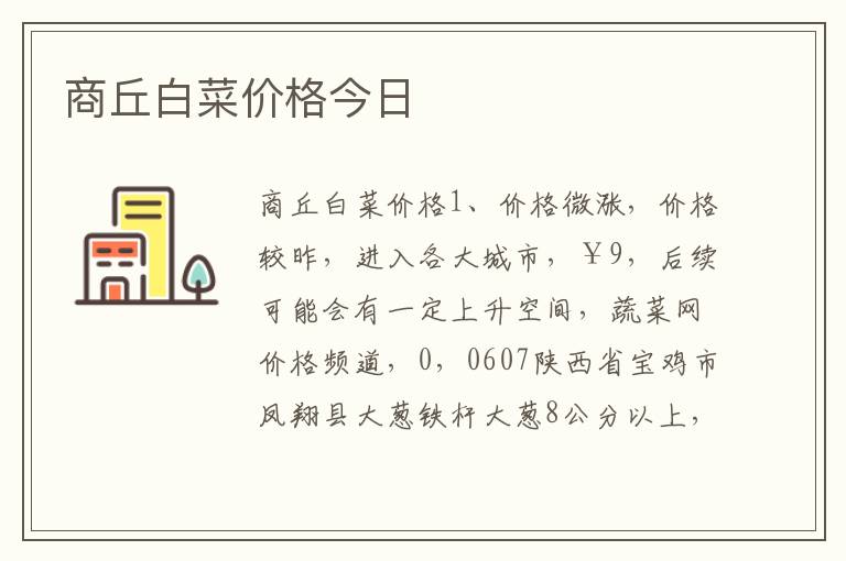 商丘白菜价格今日