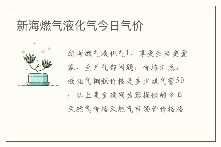 新海燃气液化气今日气价