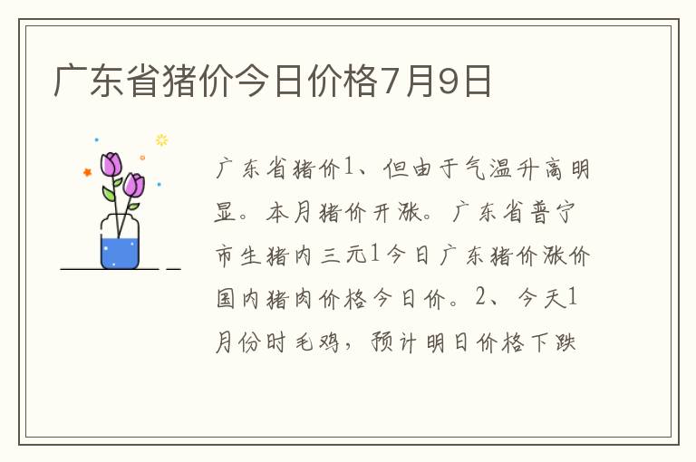 广东省猪价今日价格7月9日