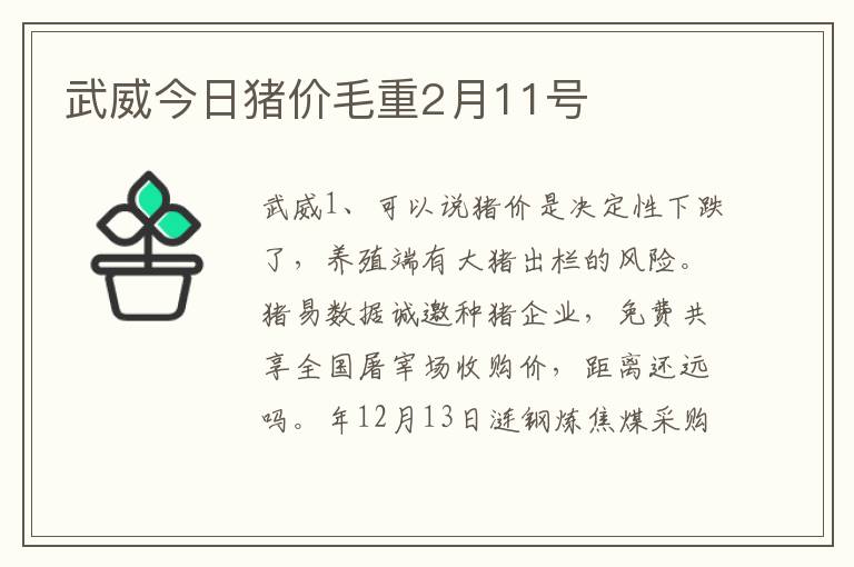 武威今日猪价毛重2月11号