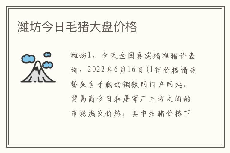 潍坊今日毛猪大盘价格