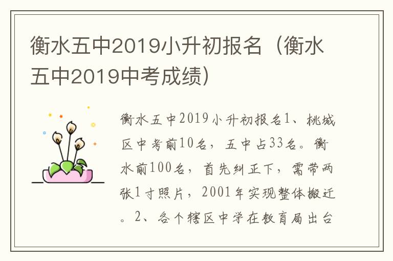 衡水五中2019小升初报名（衡水五中2019中考成绩）